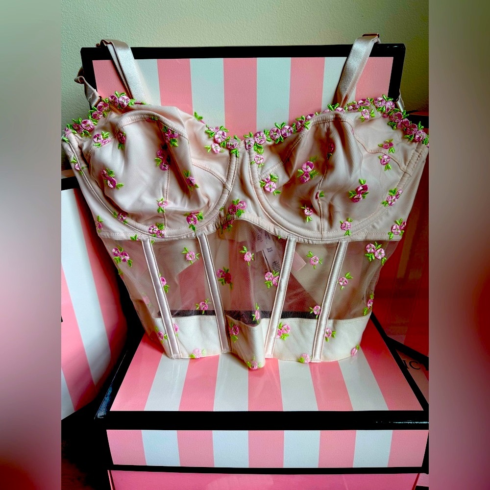 Victoria's Secret Rosebud Embroidery 3 Set NWT Corset 36 DD panty L Garter XS/S - Picture 2 of 13